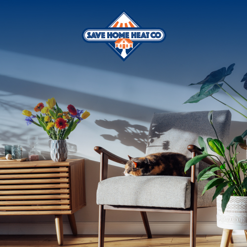 a cat on a chair in a sunlight clean room with spring flowers on a table