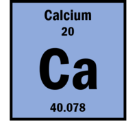 calcium element