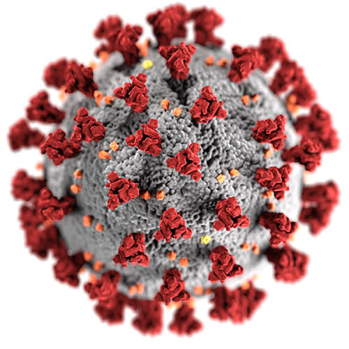 Coronavirus - COVID-19 Virus Structure Image - Save Home Heat
