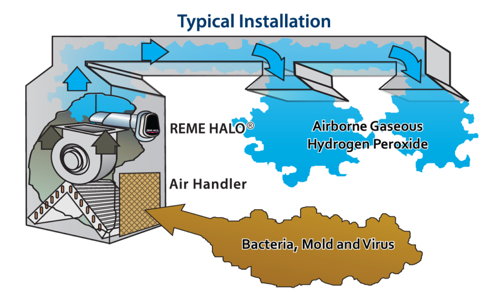 reme halo instillation illustration