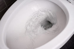 Toilet Flush - Save Home Heat