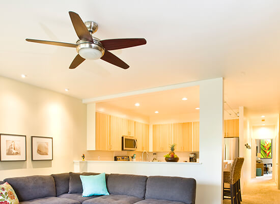Ceiling Fan Replacement in Arvada