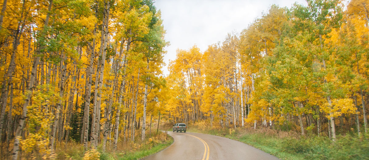 Autumn in Colorado - Josh Price Photography