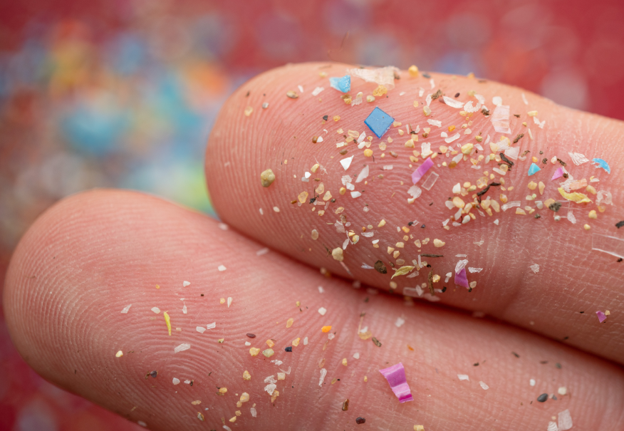 plastic pieces on a fingertip