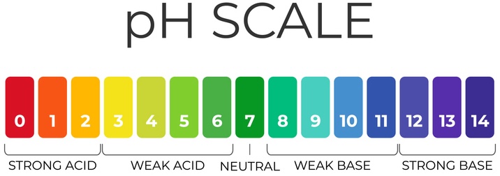 pH value scale chart for acid-alkaline solution. Acid-base balance infographic isolated on white background. Indicator for concentration of hydrogen ion in solution. 