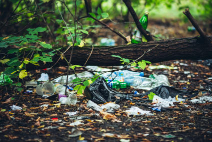 plastic trash on the forest ground